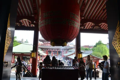 DSC_3487 (Large).JPG